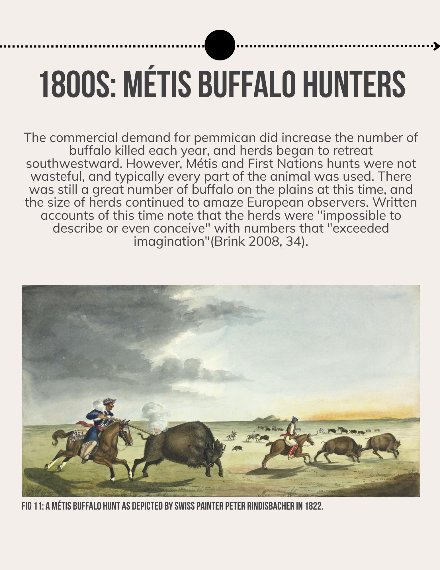 Lii Buflo: A Métis Way of Life - Page 11