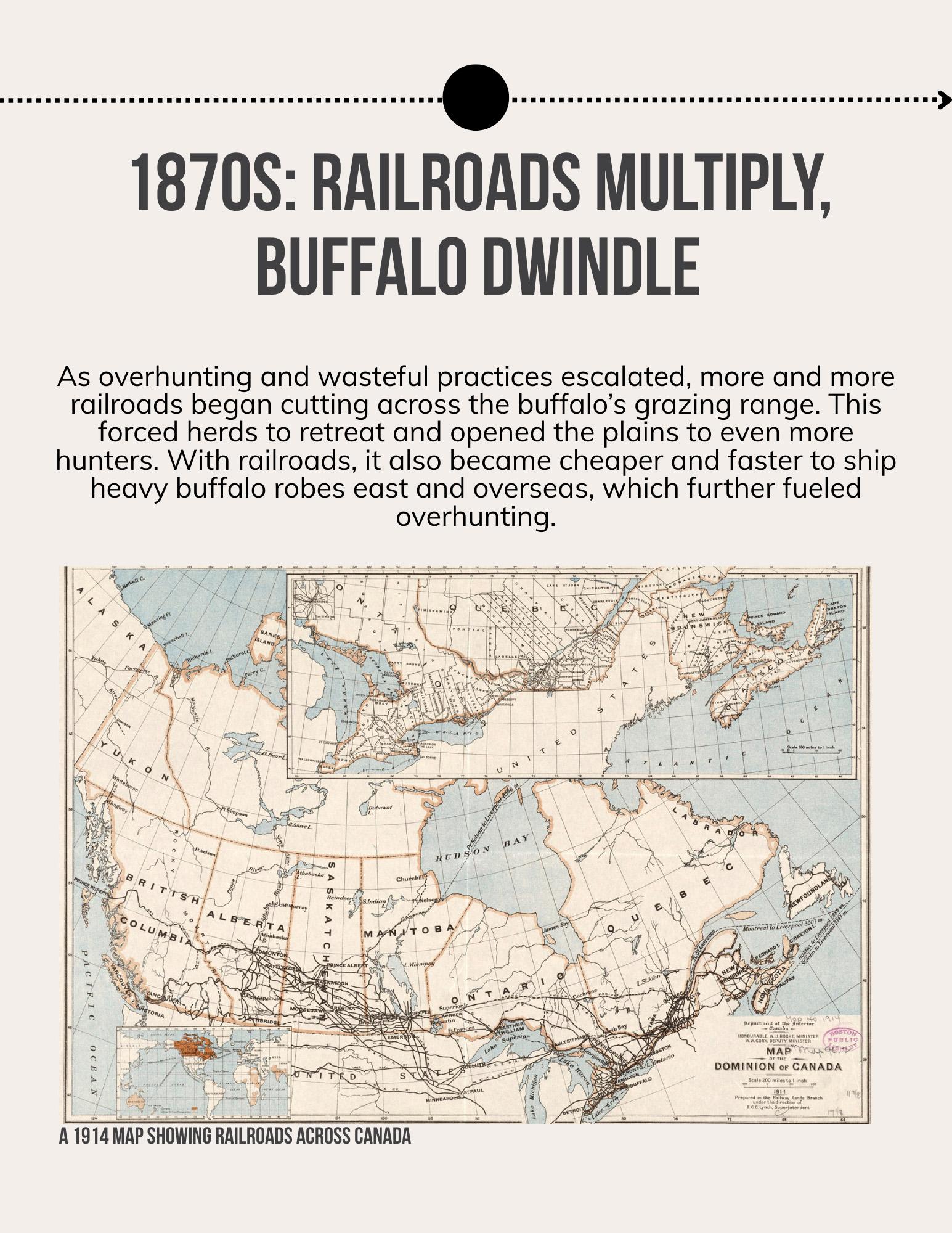 Lii Buflo: A Métis Way of Life - Page 17