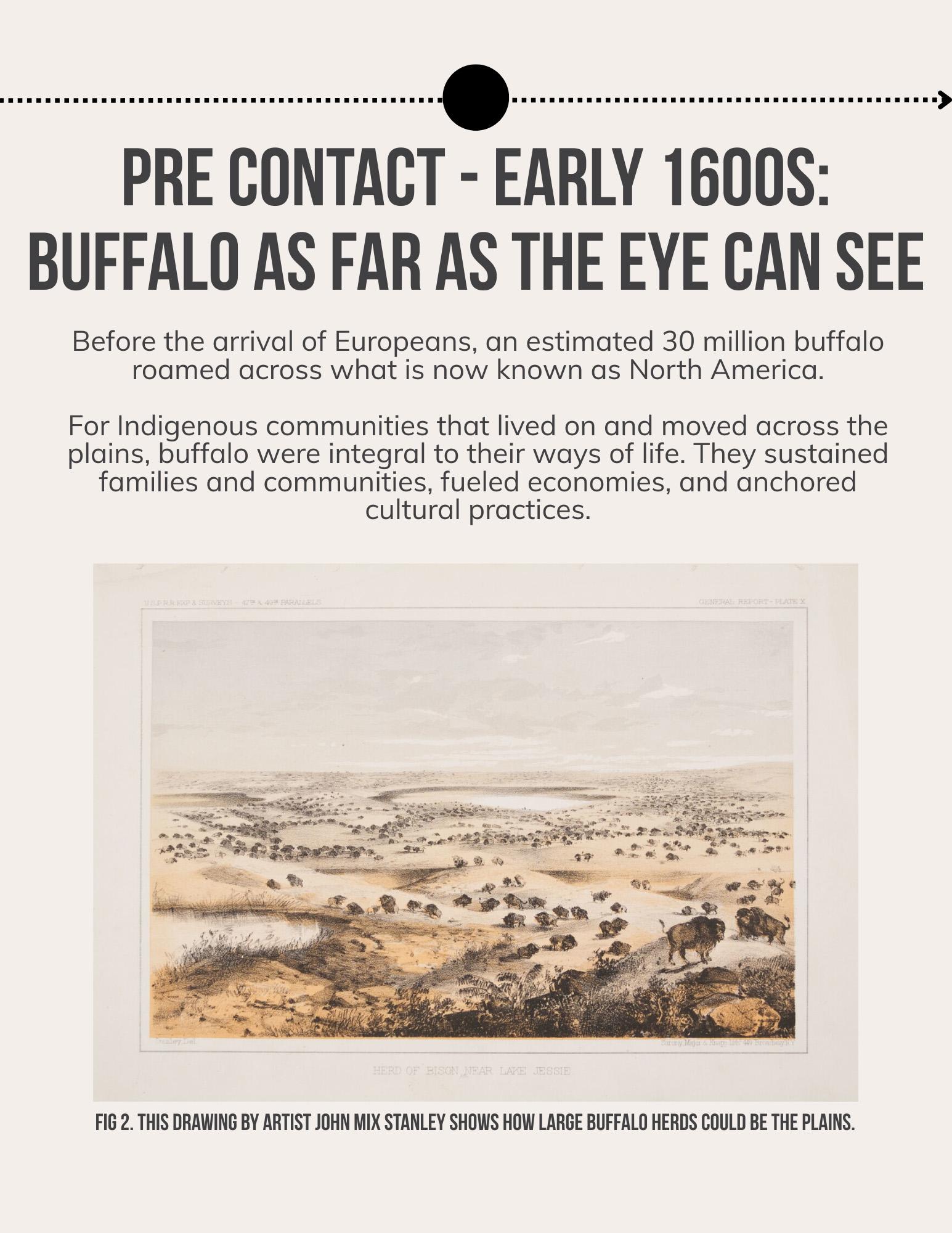 Lii Buflo: A Métis Way of Life - Page 2