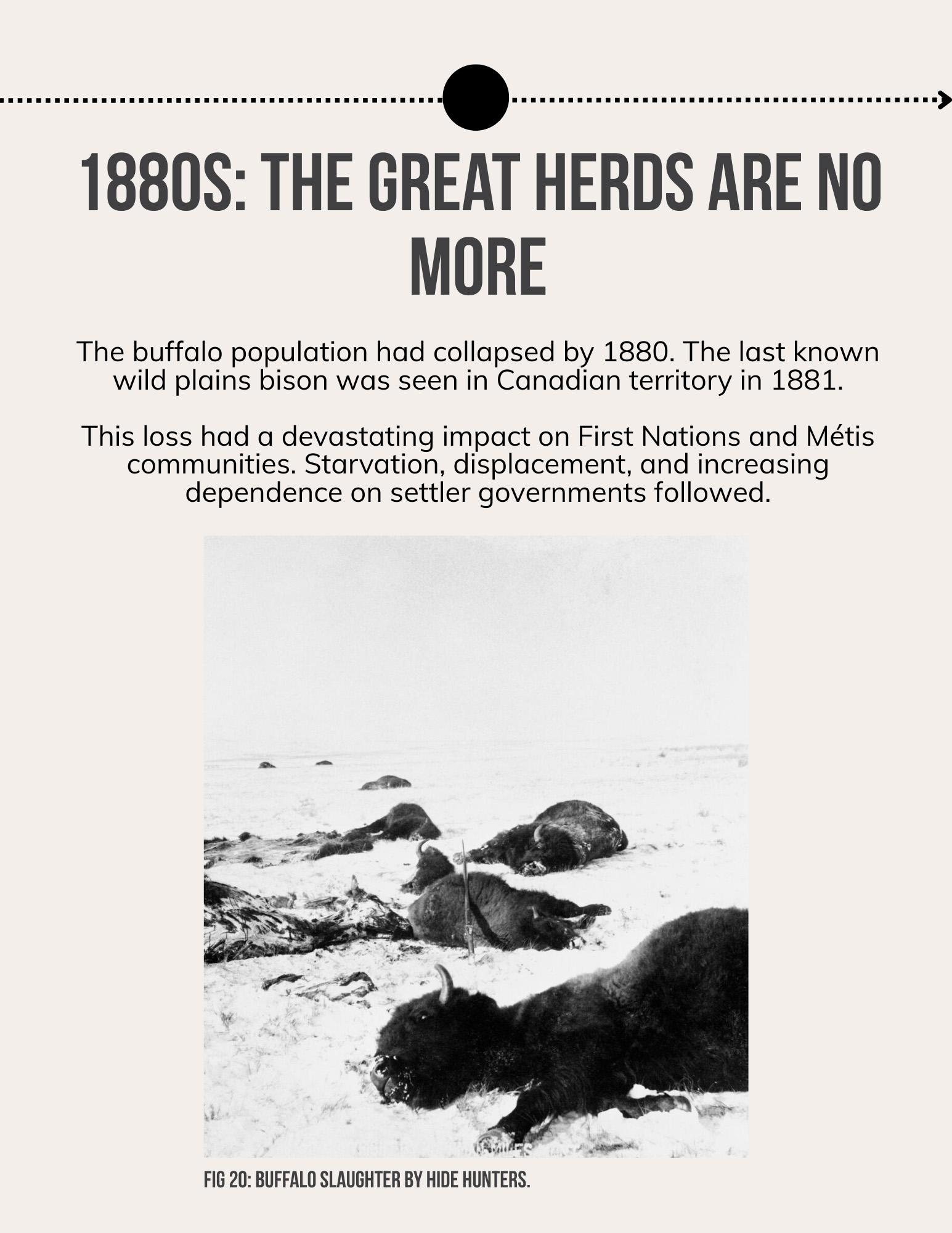 Lii Buflo: A Métis Way of Life - Page 23