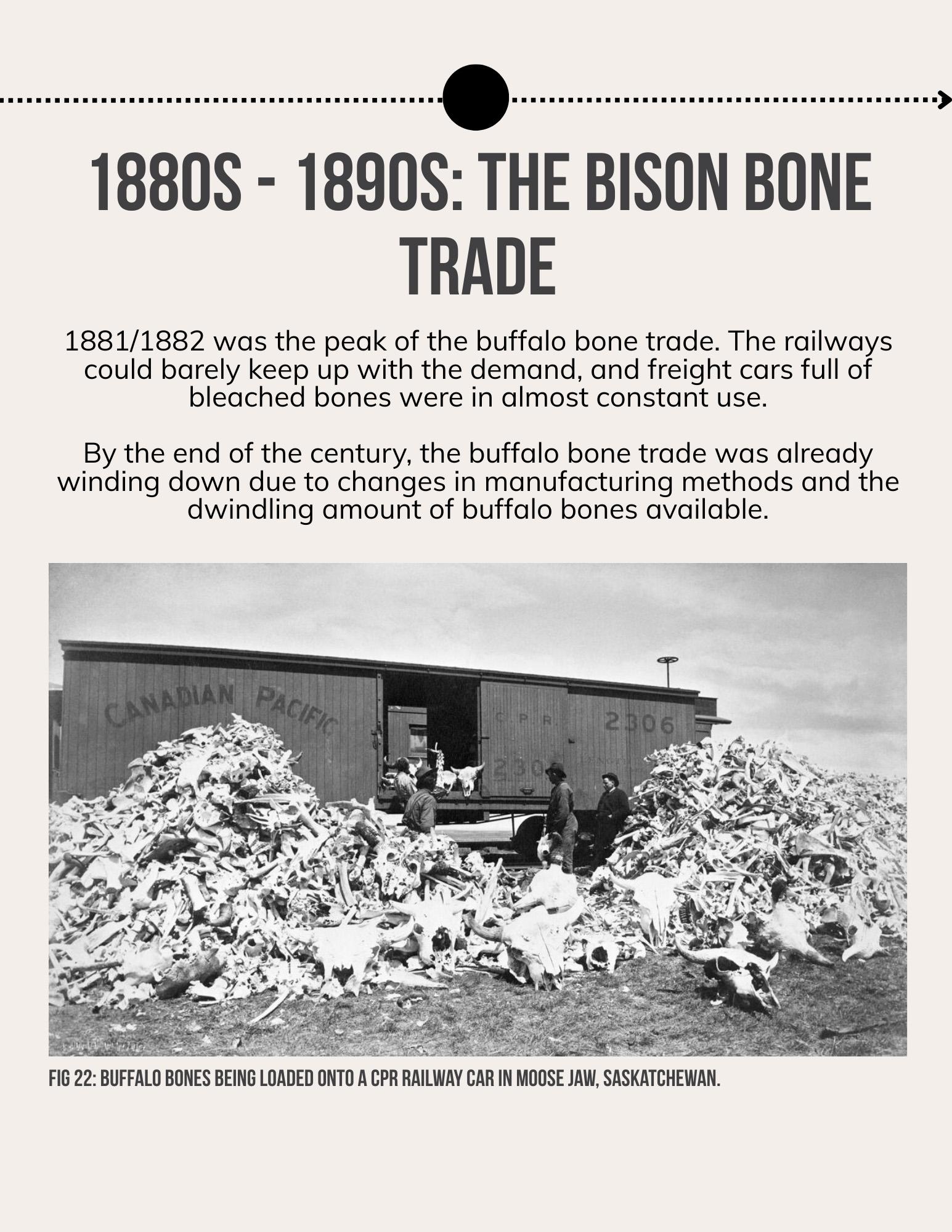 Lii Buflo: A Métis Way of Life - Page 26
