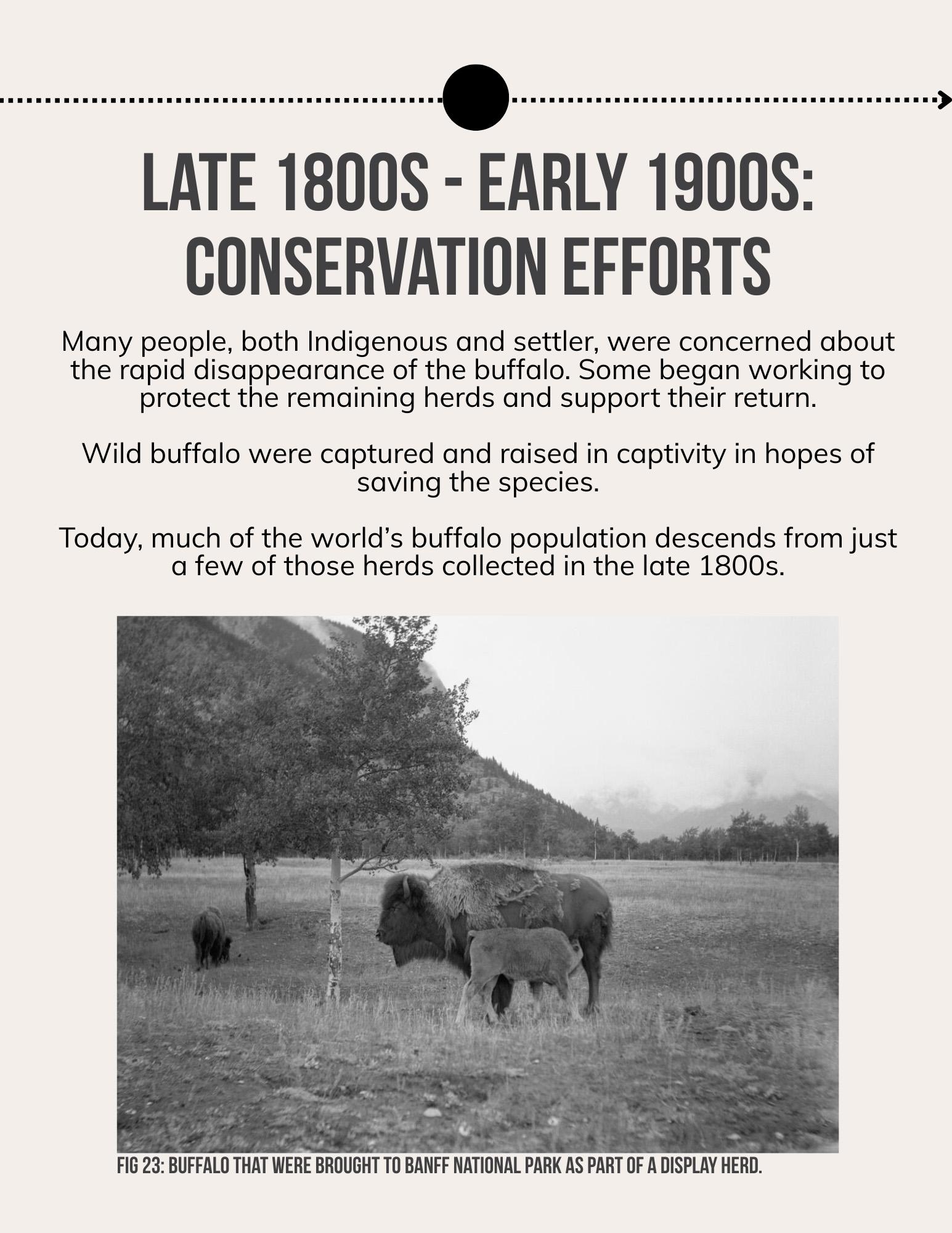 Lii Buflo: A Métis Way of Life - Page 27
