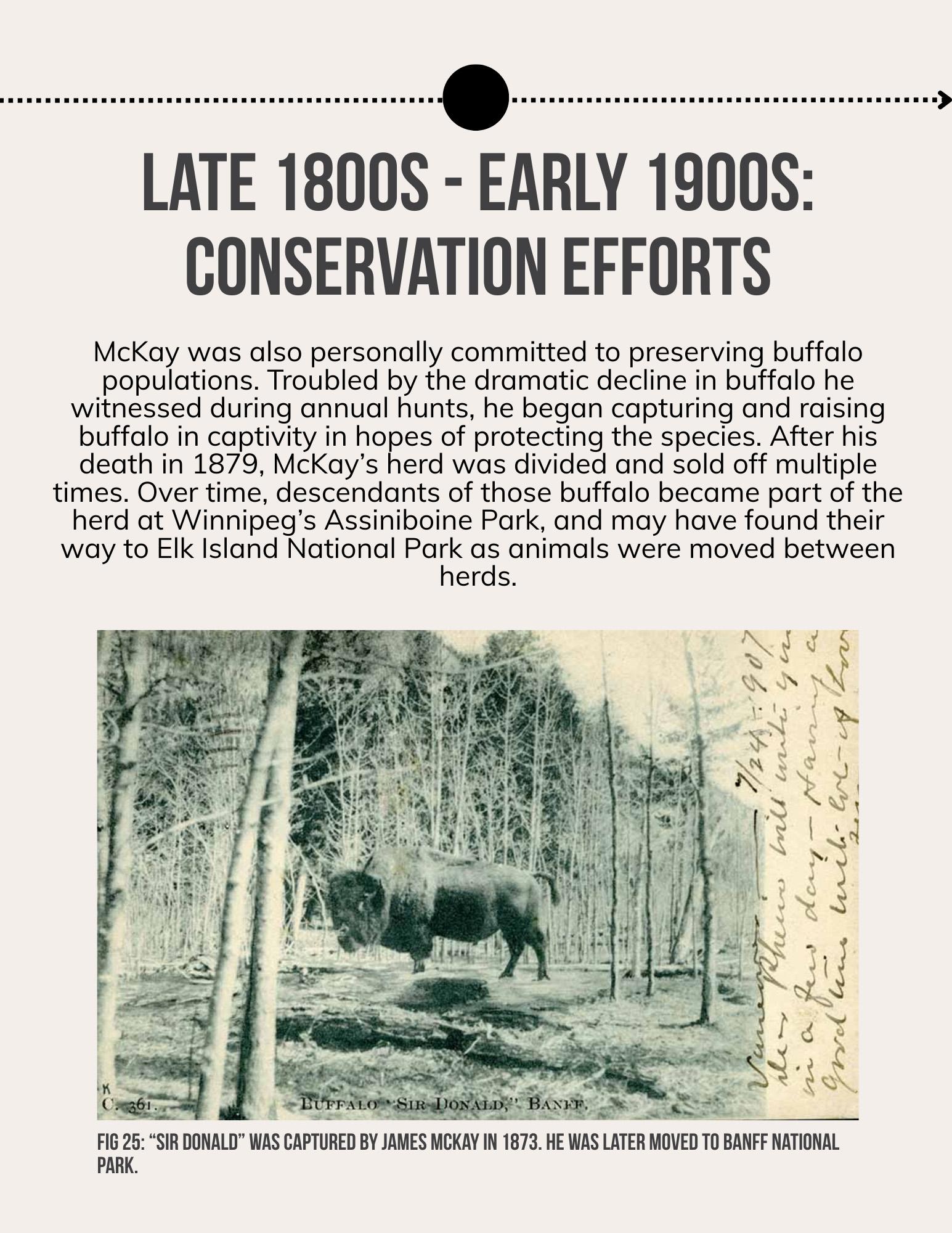 Lii Buflo: A Métis Way of Life - Page 29