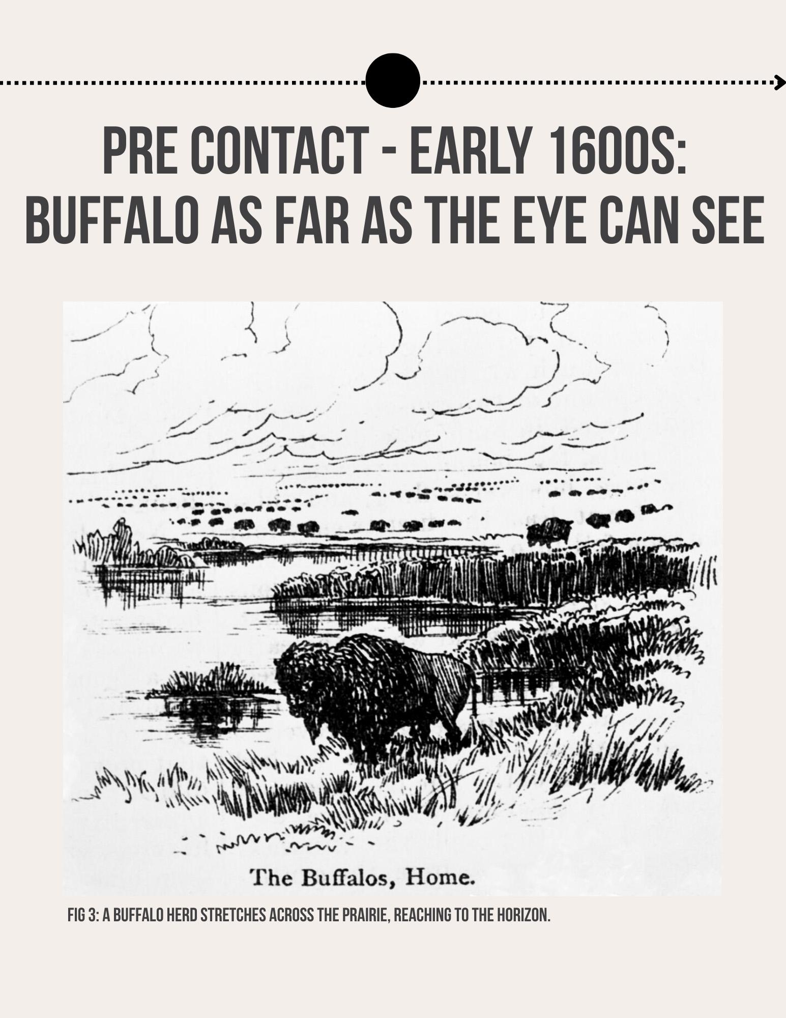 Lii Buflo: A Métis Way of Life - Page 3