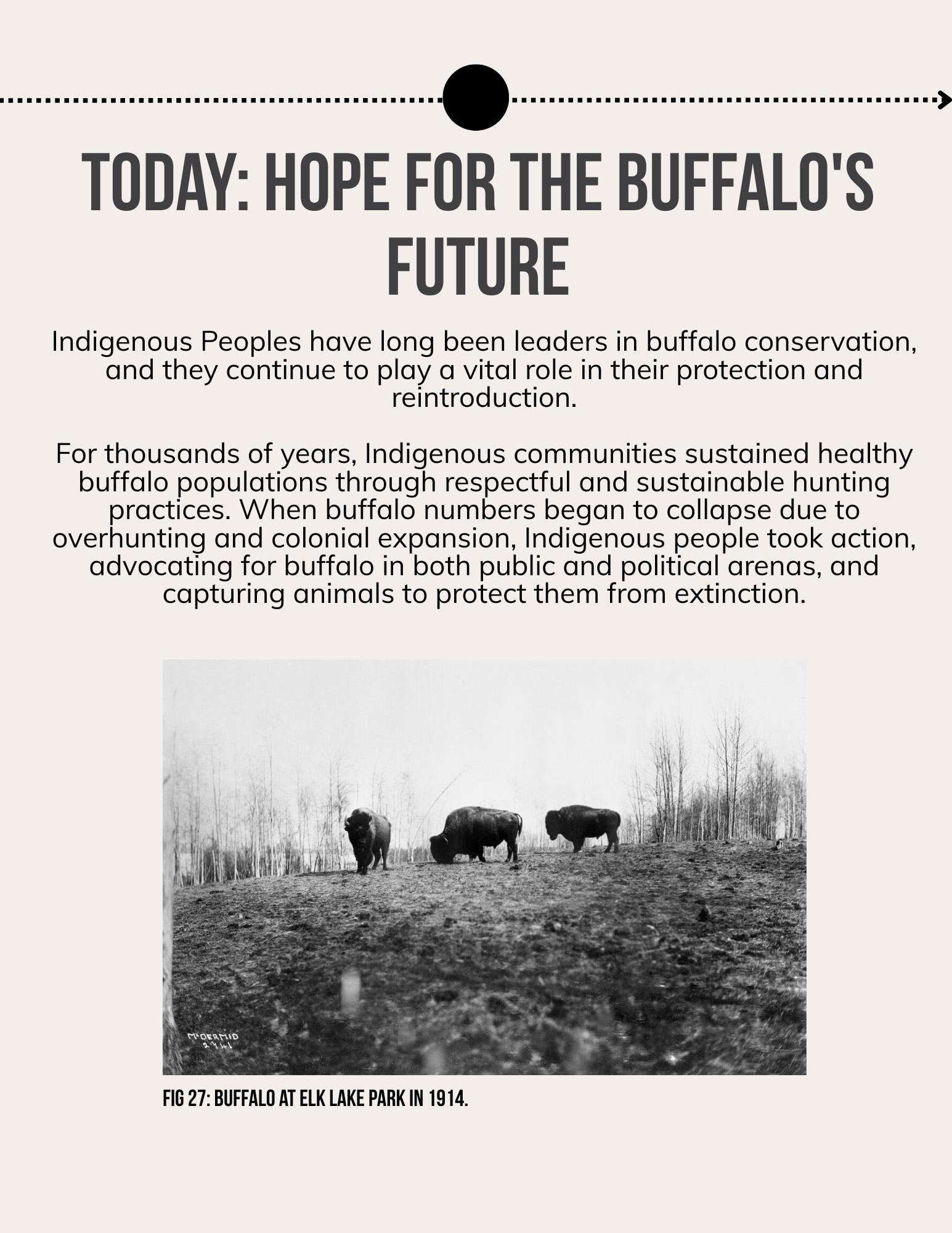 Lii Buflo: A Métis Way of Life - Page 31
