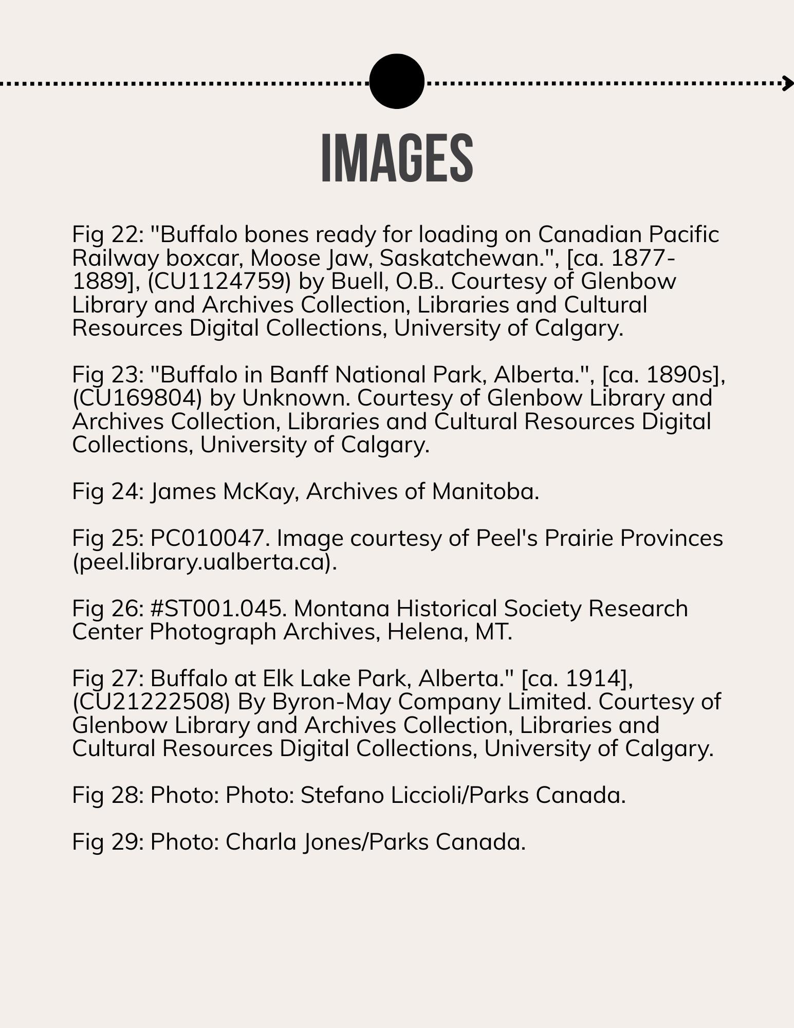 Lii Buflo: A Métis Way of Life - Page 37