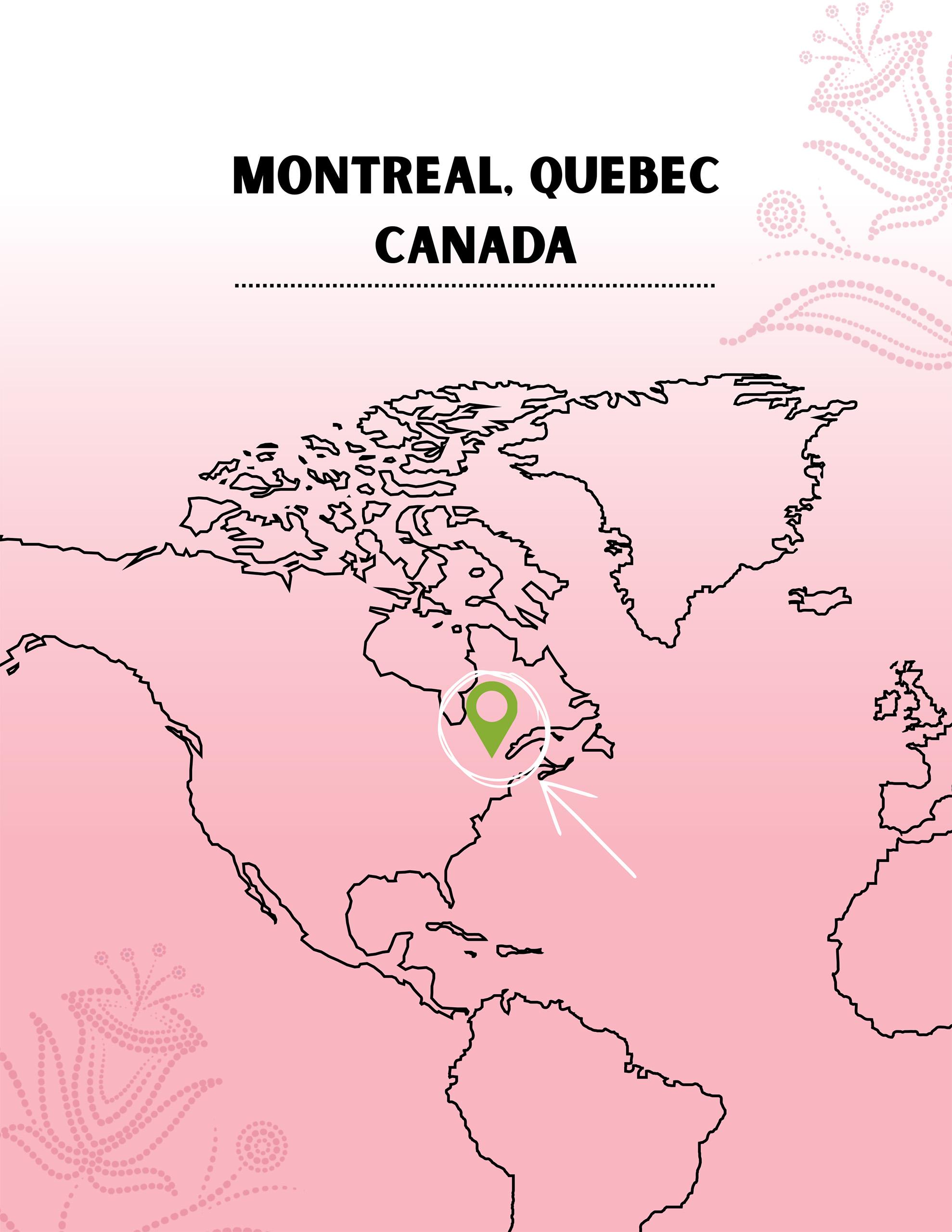 Stewards of our Story: Exploring Métis-Led Cultural Care - Page 6