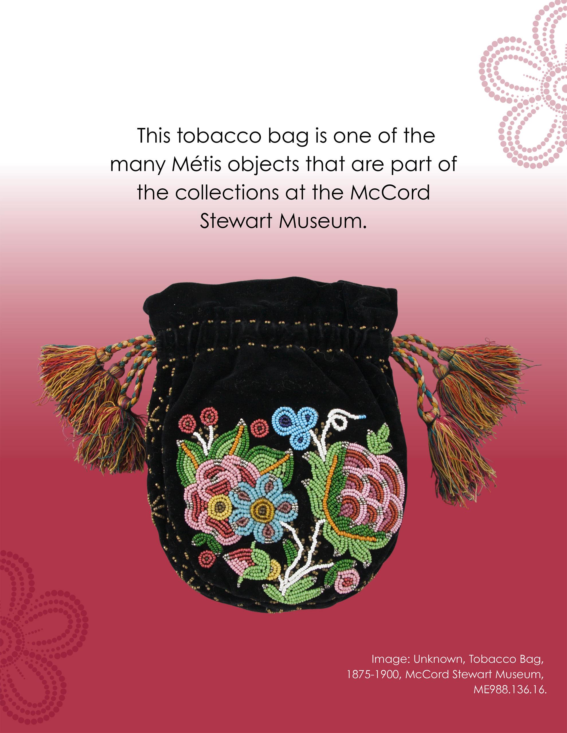 Stewards of our Story: Exploring Métis-Led Cultural Care - Page 7